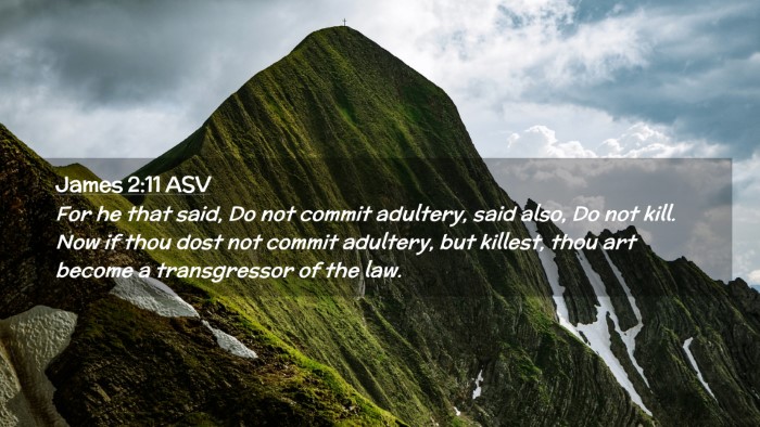 Picture 02 - James 2:11 ASV Desktop Wallpaper - For he that said, Do not commit adultery, said - Desktop Bible Verse Wallpaper
