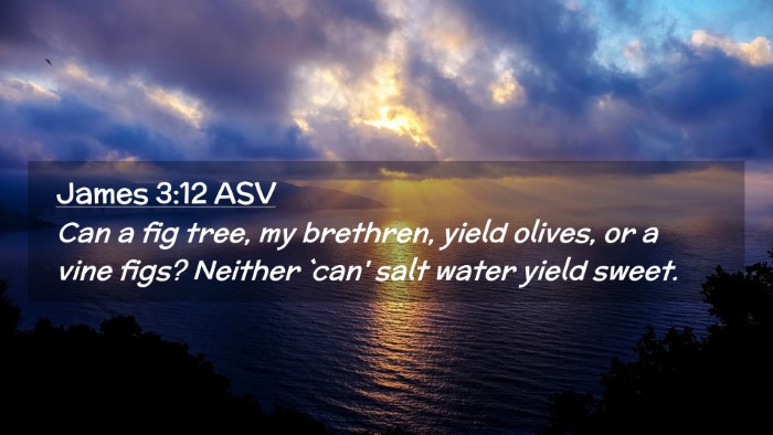 Picture 02 - James 3:12 ASV Desktop Wallpaper - Can a fig tree, my brethren, yield olives, or a - Desktop Bible Verse Wallpaper