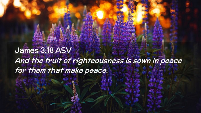 Picture 02 - James 3:18 ASV Desktop Wallpaper - And the fruit of righteousness is sown in peace - Desktop Bible Verse Wallpaper