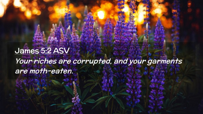 Picture 02 - James 5:2 ASV Desktop Wallpaper - Your riches are corrupted, and your garments are - Desktop Bible Verse Wallpaper