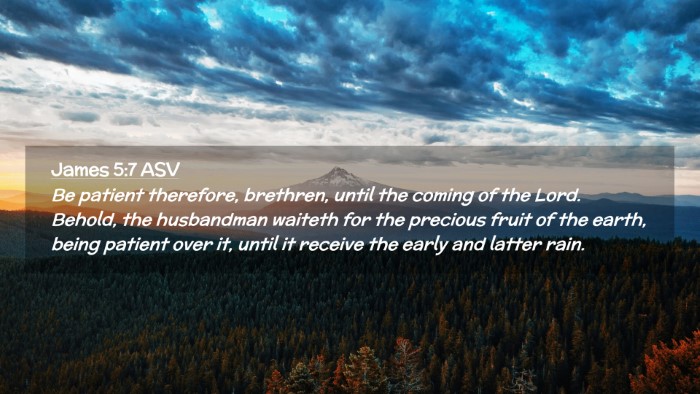 Picture 02 - James 5:7 ASV Desktop Wallpaper - Be patient therefore, brethren, until the coming - Desktop Bible Verse Wallpaper