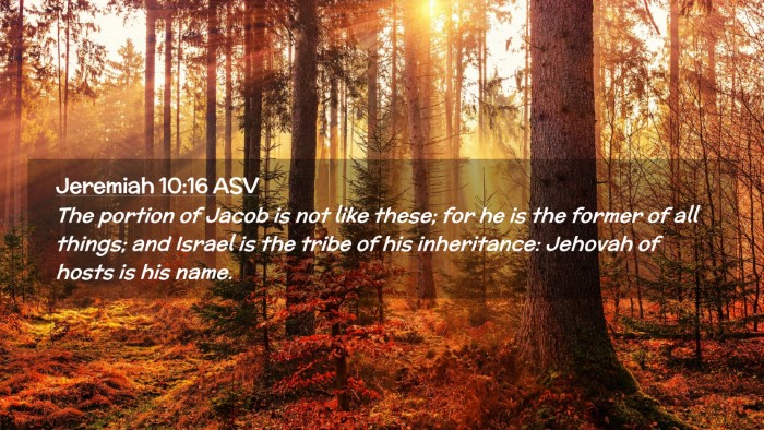 Picture 02 - Jeremiah 10:16 ASV Desktop Wallpaper - The portion of Jacob is not like these; for he is - Desktop Bible Verse Wallpaper