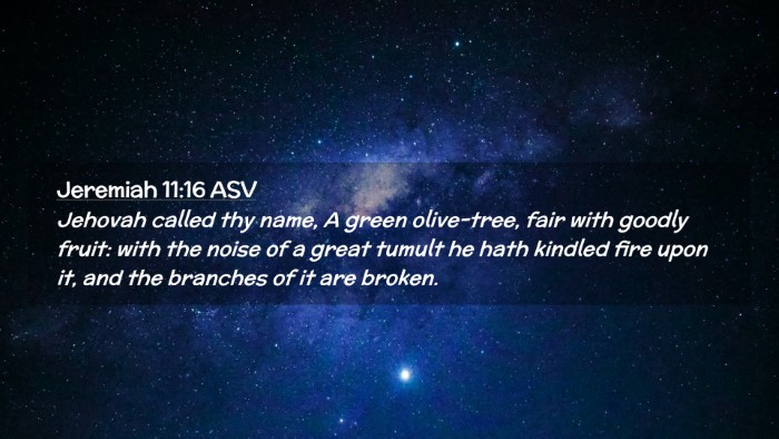 Picture 02 - Jeremiah 11:16 ASV Desktop Wallpaper - Jehovah called thy name, A green olive-tree, fair - Desktop Bible Verse Wallpaper