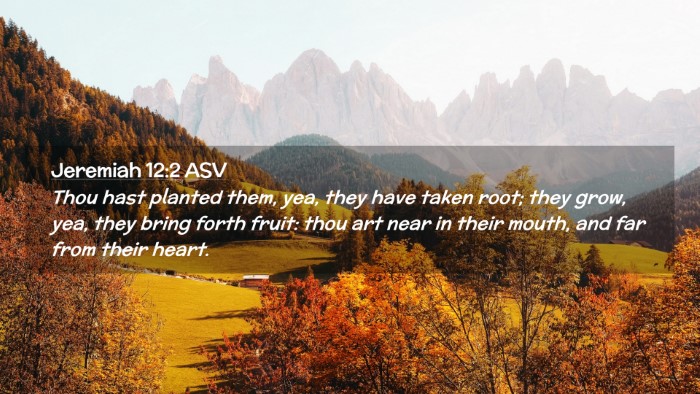 Picture 02 - Jeremiah 12:2 ASV Desktop Wallpaper - Thou hast planted them, yea, they have taken - Desktop Bible Verse Wallpaper