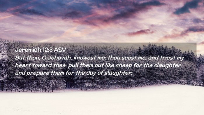 Picture 02 - Jeremiah 12:3 ASV Desktop Wallpaper - But thou, O Jehovah, knowest me; thou seest me, - Desktop Bible Verse Wallpaper
