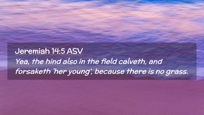 Picture 02 - Jeremiah 14:5 ASV Desktop Wallpaper - Yea, the hind also in the field calveth, and - Desktop Bible Verse Wallpaper