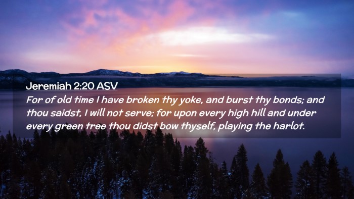 Picture 02 - Jeremiah 2:20 ASV Desktop Wallpaper - For of old time I have broken thy yoke, and burst - Desktop Bible Verse Wallpaper