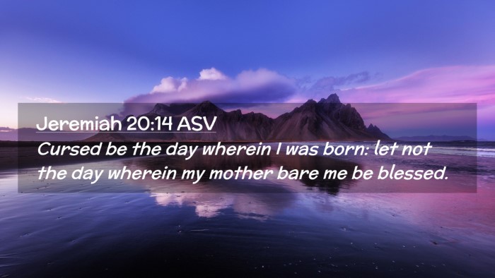 Picture 02 - Jeremiah 20:14 ASV Desktop Wallpaper - Cursed be the day wherein I was born: let not the - Desktop Bible Verse Wallpaper