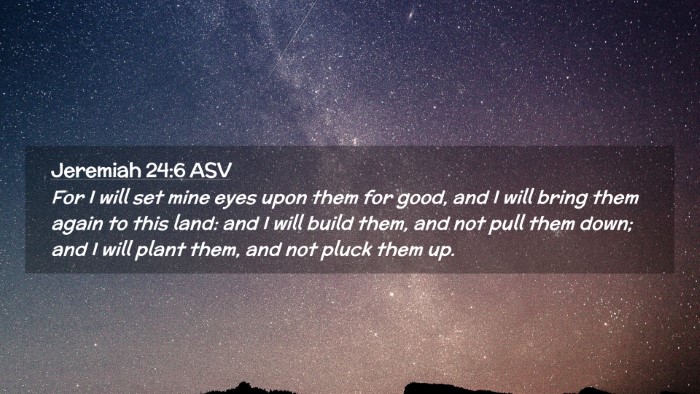 Picture 02 - Jeremiah 24:6 ASV Desktop Wallpaper - For I will set mine eyes upon them for good, and - Desktop Bible Verse Wallpaper