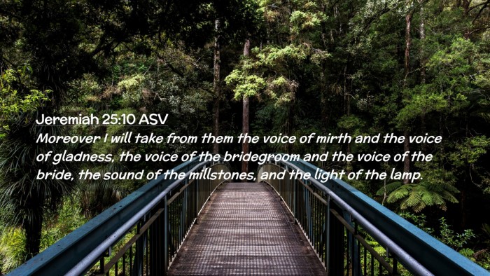 Picture 02 - Jeremiah 25:10 ASV Desktop Wallpaper - Moreover I will take from them the voice of mirth - Desktop Bible Verse Wallpaper