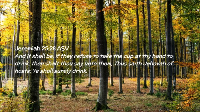 Picture 02 - Jeremiah 25:28 ASV Desktop Wallpaper - And it shall be, if they refuse to take the cup - Desktop Bible Verse Wallpaper