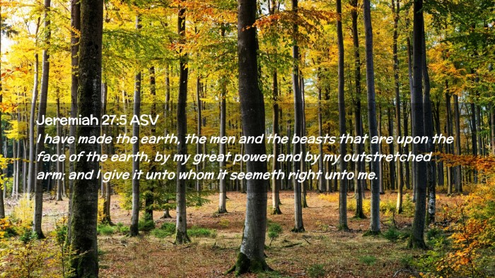 Picture 02 - Jeremiah 27:5 ASV Desktop Wallpaper - I have made the earth, the men and the beasts - Desktop Bible Verse Wallpaper