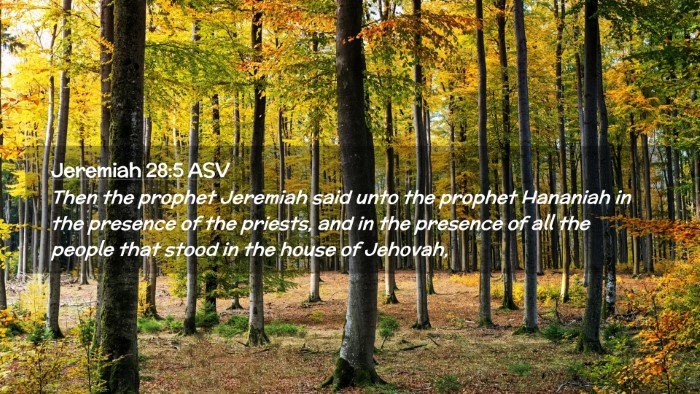 Picture 02 - Jeremiah 28:5 ASV Desktop Wallpaper - Then the prophet Jeremiah said unto the prophet - Desktop Bible Verse Wallpaper