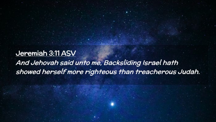 Picture 02 - Jeremiah 3:11 ASV Desktop Wallpaper - And Jehovah said unto me, Backsliding Israel hath - Desktop Bible Verse Wallpaper