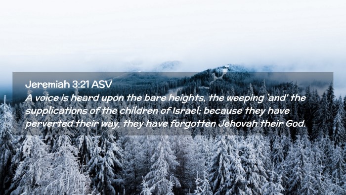 Picture 02 - Jeremiah 3:21 ASV Desktop Wallpaper - A voice is heard upon the bare heights, the - Desktop Bible Verse Wallpaper