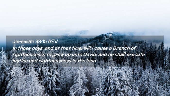 Picture 02 - Jeremiah 33:15 ASV Desktop Wallpaper - In those days, and at that time, will I cause a - Desktop Bible Verse Wallpaper