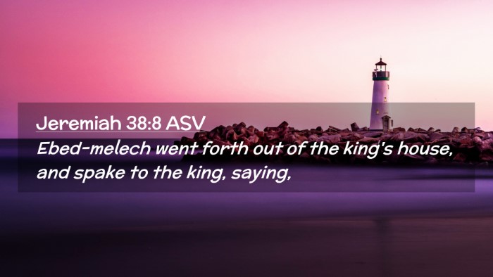 Picture 02 - Jeremiah 38:8 ASV Desktop Wallpaper - Ebed-melech went forth out of the king's house, - Desktop Bible Verse Wallpaper