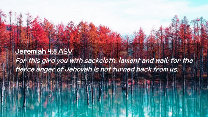 Picture 02 - Jeremiah 4:8 ASV Desktop Wallpaper - For this gird you with sackcloth, lament and - Desktop Bible Verse Wallpaper