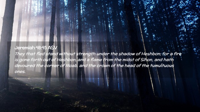 Picture 02 - Jeremiah 48:45 ASV Desktop Wallpaper - They that fled stand without strength under the - Desktop Bible Verse Wallpaper