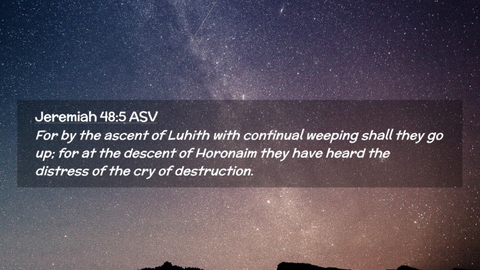 Picture 02 - Jeremiah 48:5 ASV Desktop Wallpaper - For by the ascent of Luhith with continual - Desktop Bible Verse Wallpaper