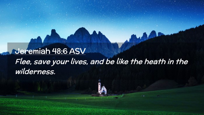 Picture 02 - Jeremiah 48:6 ASV Desktop Wallpaper - Flee, save your lives, and be like the heath in - Desktop Bible Verse Wallpaper