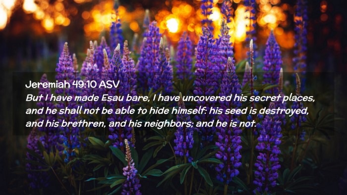 Picture 02 - Jeremiah 49:10 ASV Desktop Wallpaper - But I have made Esau bare, I have uncovered his - Desktop Bible Verse Wallpaper