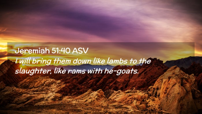 Picture 02 - Jeremiah 51:40 ASV Desktop Wallpaper - I will bring them down like lambs to the - Desktop Bible Verse Wallpaper