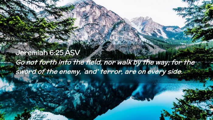 Picture 02 - Jeremiah 6:25 ASV Desktop Wallpaper - Go not forth into the field, nor walk by the way; - Desktop Bible Verse Wallpaper