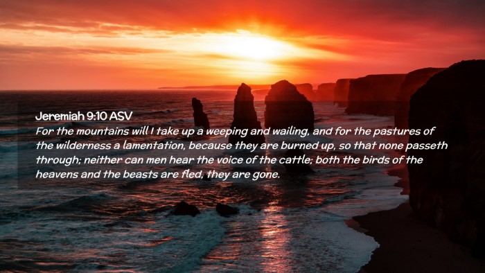 Picture 02 - Jeremiah 9:10 ASV Desktop Wallpaper - For the mountains will I take up a weeping and - Desktop Bible Verse Wallpaper