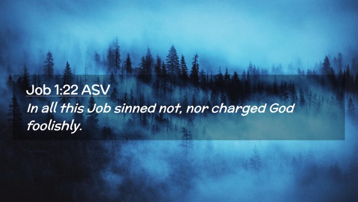Picture 02 - Job 1:22 ASV Desktop Wallpaper - In all this Job sinned not, nor charged God - Desktop Bible Verse Wallpaper