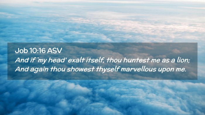 Picture 02 - Job 10:16 ASV Desktop Wallpaper - And if `my head' exalt itself, thou huntest me as - Desktop Bible Verse Wallpaper