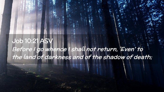 Picture 02 - Job 10:21 ASV Desktop Wallpaper - Before I go whence I shall not return, `Even' to - Desktop Bible Verse Wallpaper