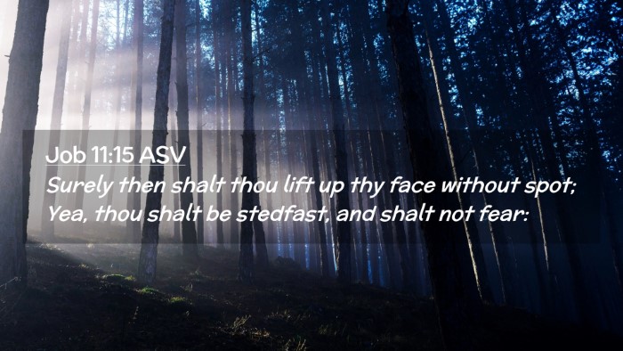 Picture 02 - Job 11:15 ASV Desktop Wallpaper - Surely then shalt thou lift up thy face without - Desktop Bible Verse Wallpaper