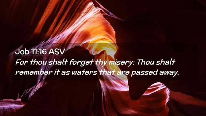 Picture 02 - Job 11:16 ASV Desktop Wallpaper - For thou shalt forget thy misery; Thou shalt - Desktop Bible Verse Wallpaper
