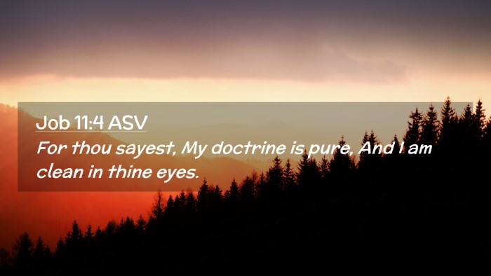 Picture 02 - Job 11:4 ASV Desktop Wallpaper - For thou sayest, My doctrine is pure, And I am - Desktop Bible Verse Wallpaper