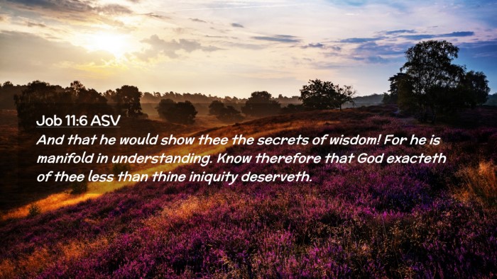 Picture 02 - Job 11:6 ASV Desktop Wallpaper - And that he would show thee the secrets of - Desktop Bible Verse Wallpaper