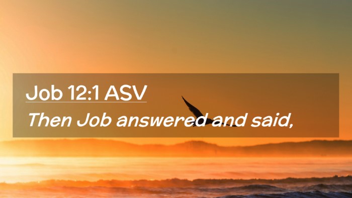 Picture 02 - Job 12:1 ASV Desktop Wallpaper - Then Job answered and - Desktop Bible Verse Wallpaper