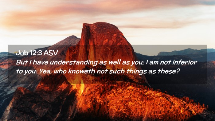 Picture 02 - Job 12:3 ASV Desktop Wallpaper - But I have understanding as well as you; I am not - Desktop Bible Verse Wallpaper