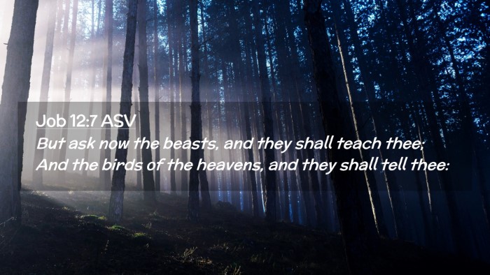 Picture 02 - Job 12:7 ASV Desktop Wallpaper - But ask now the beasts, and they shall teach - Desktop Bible Verse Wallpaper