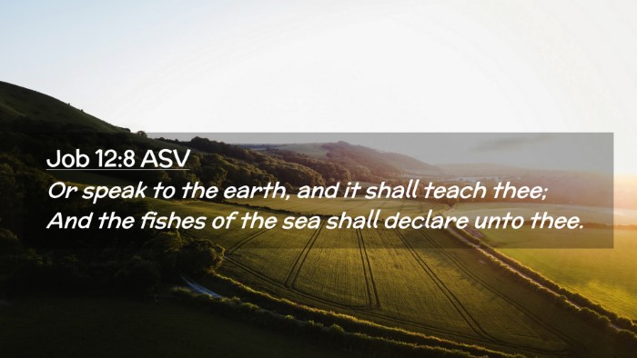 Picture 02 - Job 12:8 ASV Desktop Wallpaper - Or speak to the earth, and it shall teach thee; - Desktop Bible Verse Wallpaper