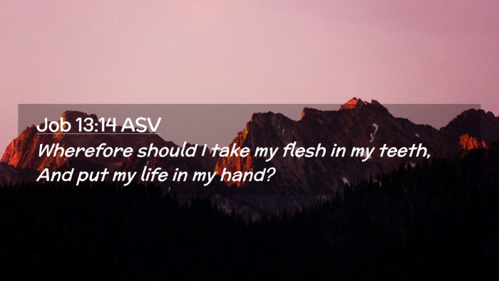 Picture 02 - Job 13:14 ASV Desktop Wallpaper - Wherefore should I take my flesh in my teeth, And - Desktop Bible Verse Wallpaper