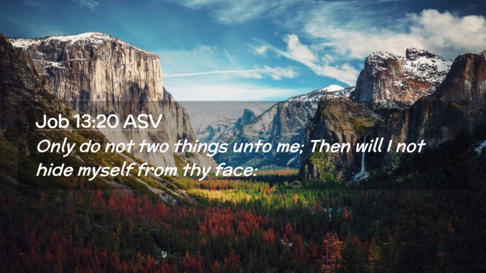 Picture 02 - Job 13:20 ASV Desktop Wallpaper - Only do not two things unto me; Then will I not - Desktop Bible Verse Wallpaper