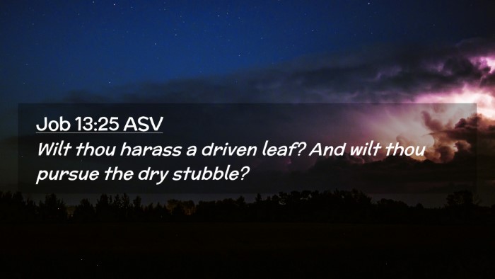 Picture 02 - Job 13:25 ASV Desktop Wallpaper - Wilt thou harass a driven leaf? And wilt thou - Desktop Bible Verse Wallpaper
