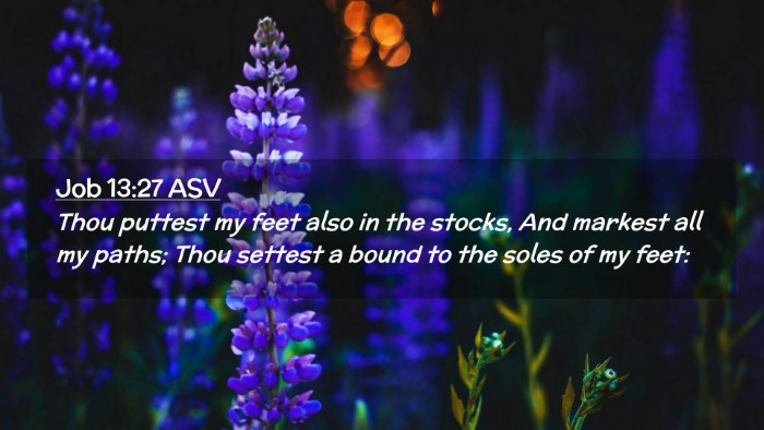 Picture 02 - Job 13:27 ASV Desktop Wallpaper - Thou puttest my feet also in the stocks, And - Desktop Bible Verse Wallpaper