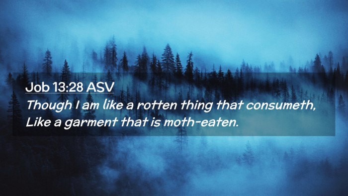 Picture 02 - Job 13:28 ASV Desktop Wallpaper - Though I am like a rotten thing that consumeth, - Desktop Bible Verse Wallpaper