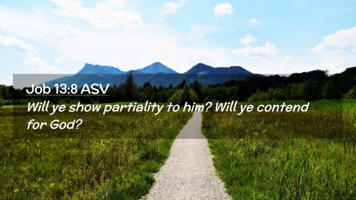 Picture 02 - Job 13:8 ASV Desktop Wallpaper - Will ye show partiality to him? Will ye contend - Desktop Bible Verse Wallpaper