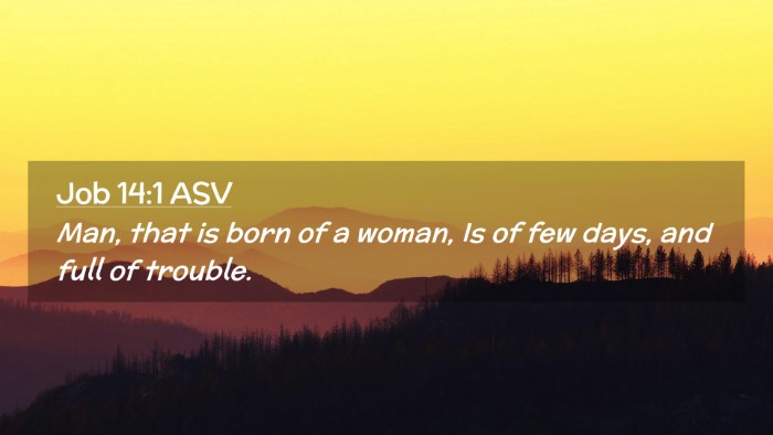 Picture 02 - Job 14:1 ASV Desktop Wallpaper - Man, that is born of a woman, Is of few days, and - Desktop Bible Verse Wallpaper