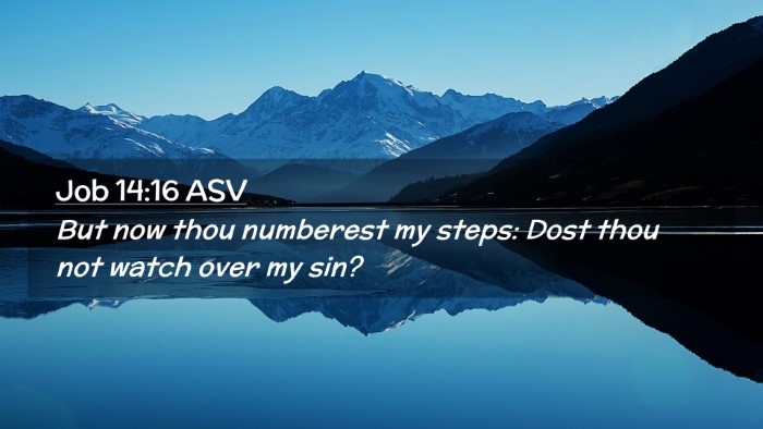 Picture 02 - Job 14:16 ASV Desktop Wallpaper - But now thou numberest my steps: Dost thou not - Desktop Bible Verse Wallpaper