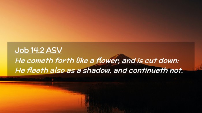 Picture 02 - Job 14:2 ASV Desktop Wallpaper - He cometh forth like a flower, and is cut down: - Desktop Bible Verse Wallpaper
