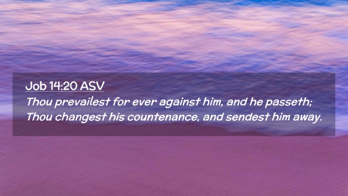 Picture 02 - Job 14:20 ASV Desktop Wallpaper - Thou prevailest for ever against him, and he - Desktop Bible Verse Wallpaper